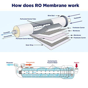 Membrane Solutions 100 GPD RO Membrane, Reverse Osmosis Membrane Element 11.75" x 1.75" Water Filter Replacement for Undersink Home Drinking RO Water Filtration System